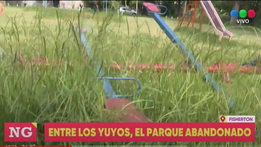 Un aplaza abandonada entre los yuyos