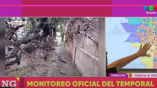 El mapa del temporal: mas de cien destrozos en toda la cuidad