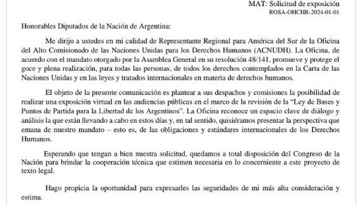La ONU pide participar del debate por la ley ómnibus: extendería posibilidad de dictamen