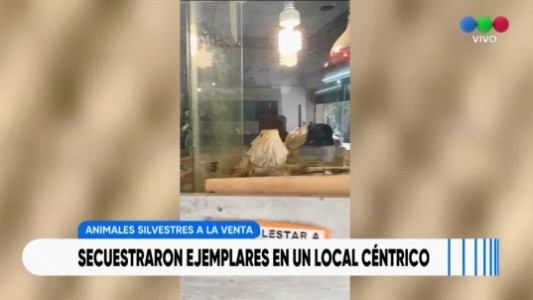 Secuestraron animales silvestres en un comercio del centro