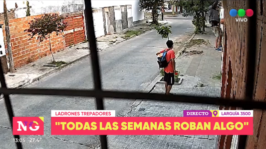 Ladrones trepadores en Larguía al 3500