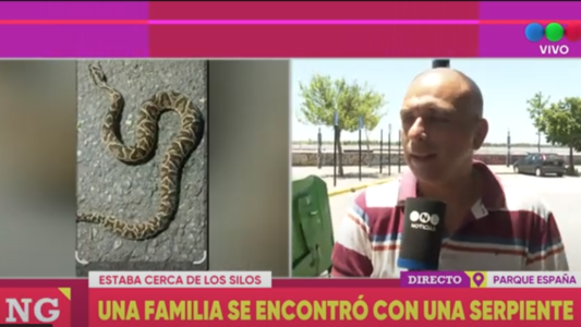 Una yarará en los silos Davis