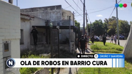 Barrio Cura: se roban hasta los árboles recién plantados