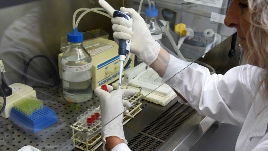 La encefalitis equina se podrá detectar en el CEMAR