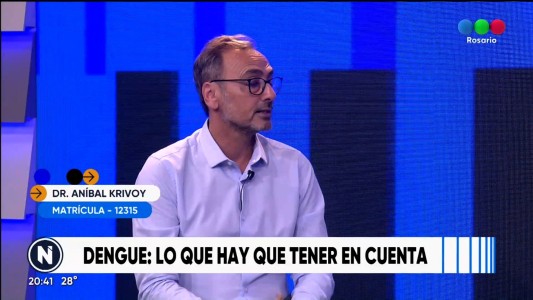 Invasión de mosquitos: peligro de dengue