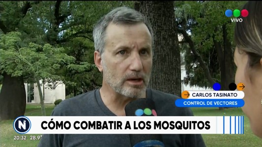 Humedad y calor ayudan a que haya más mosquitos