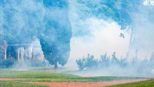 Continúan los operativos de fumigación en espacios verdes