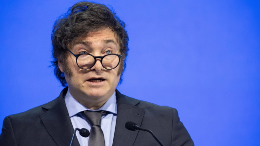 Milei se despegó de Benegas Lynch: "Es una frase absolutamente desafortunada"