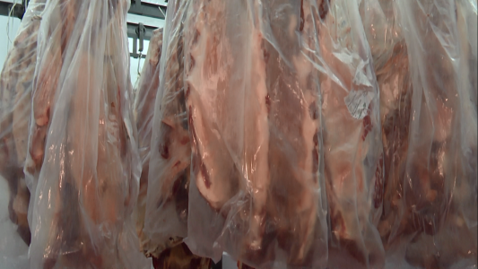 Furor en frigorífico de Pérez por la venta de cortes de carne al por menor