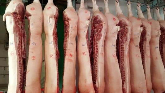 Alerta por brote de triquinosis en Acebal: medidas de precaución