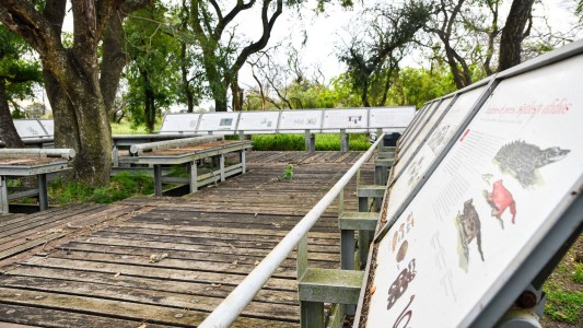 Sumergirse en la biodiversidad del Parque Provincial Cayastá, novedosa propuesta para disfrutar del Invierno en Santa Fe