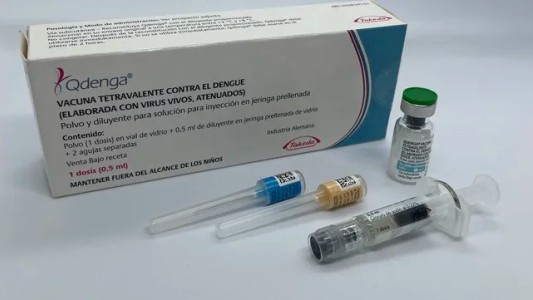 Dengue: la provincia anunció que comprará vacunas