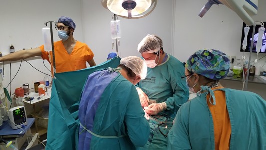 En julio, 24 personas fueron trasplantadas a partir de las ablaciones logradas en Santa Fe