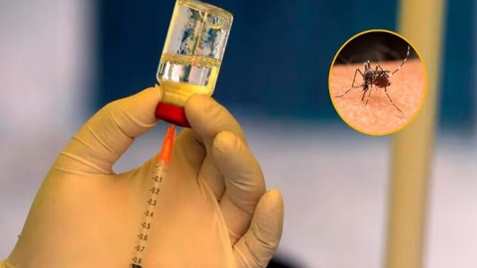 Santa Fe adquirió 160,000 dosis de vacunas contra el dengue