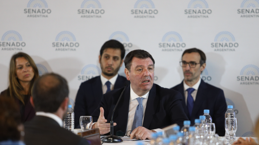 Lijo defiende su candidatura en el Senado: "Sería el representante del Poder Judicial en la Corte Suprema"