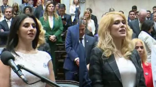 Nuevo cruce en La Libertad Avanza: Pagano calificó de "psiquiátrica" a Lemoine