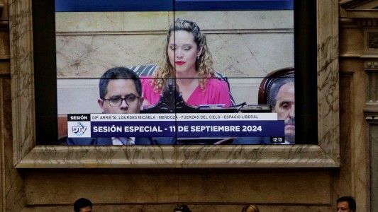 Los votos más curiosos en Diputados: los "radicales con Peluca", el larretismo y Arrieta