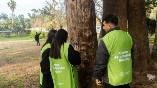 Comenzó el censo de árboles en los espacios verdes de la ciudad