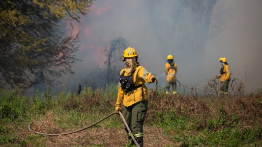 Brigadistas santafesinos lograron contener los focos ígneos en islas entrerrianas