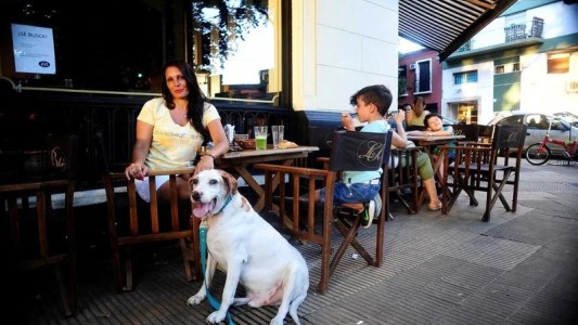 Se debate el programa “Rosario Pet Friendly”, para ir con mascotas a bares y hoteles