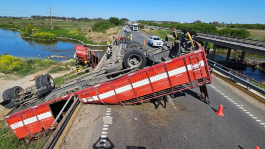 Autopista Rosario - Buenos Aires: volcó un camión que transportaba ganado y los vecinos aprovecharon para faenar las vacas