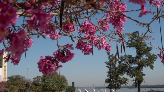 Fin de semana largo: la ciudad tuvo la mayor cantidad de turistas del último año