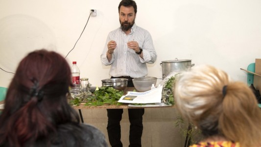 ¿Qué contribuciones ofrece la medicina tradicional y natural en la prevención del dengue?