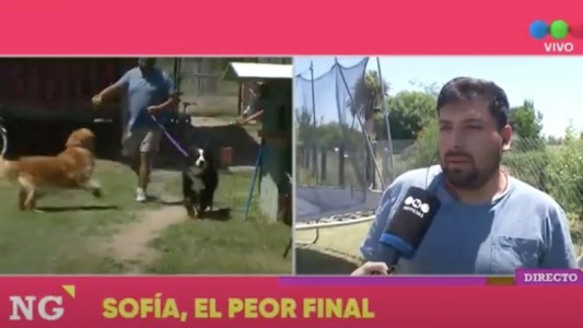 Los perros que encontraron el cuerpo de Sofía