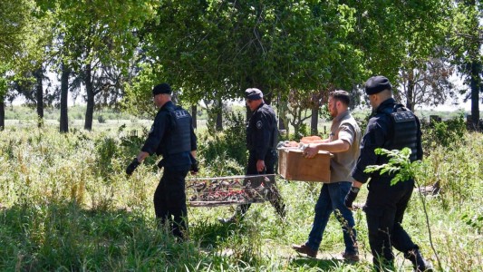 Santa Fe endurece las multas contra la caza y el comercio ilegal de fauna silvestre
