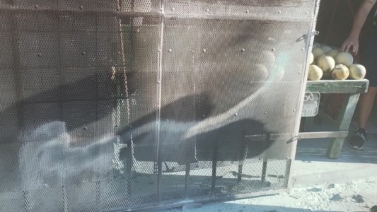 Video: tiraron una bomba molotov contra una verdulería en barrio Azcuénaga