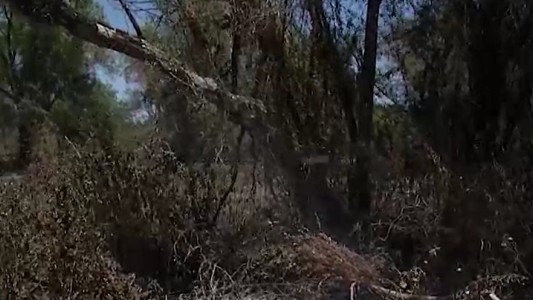 Fuego en las Islas de los Mástiles bajo control: continúa el monitoreo de puntos calientes