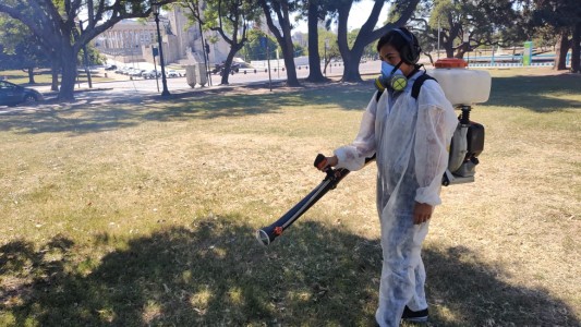 La municipalidad de Rosario refuerza el plan de fumigación en 65 espacios verdes de la ciudad.
