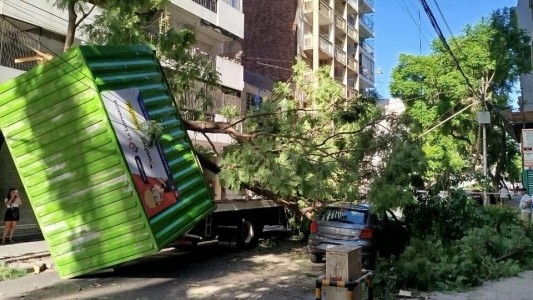 Accidente en barrio Martin: un camión con contenedor volcó, tumbó cables y cortó el tránsito