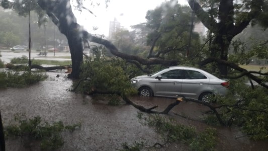 Las fuertes consecuencias que dejó la tormenta: inundaciones, granizo y árboles caídos