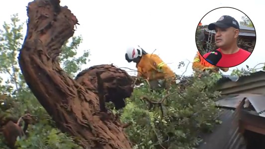 Lluvia, viento y árboles caídos: dos casas con árboles en sus techos