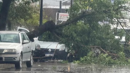 La Municipalidad y la provincia continúan con los trabajos en conjunto por los destrozos de la tormenta