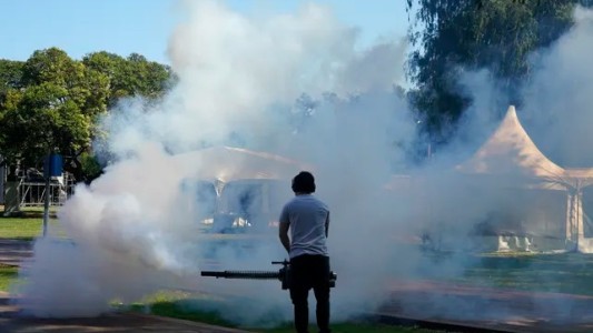 Dengue en Santa Fe: casos autóctonos en descenso, pero la alerta se mantiene