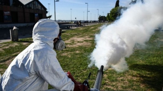 Rosario entra en fase epidémica por el aumento de casos de dengue