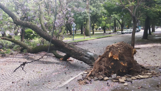 La tormenta causó estragos en la ciudad