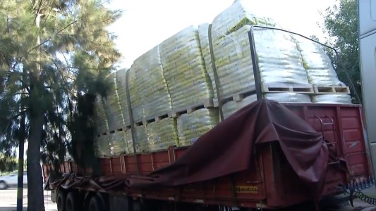 Un camión trasladaba yerba y quedó atascado en un puente