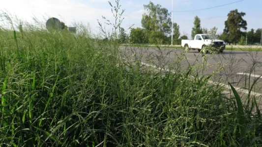 Circunvalación: entre el abandono y la desidia