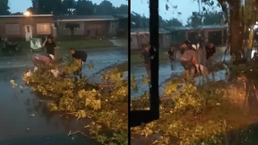 Un motociclista sufrió una grave herida por la caída de un árbol en barrio 17 de Agosto