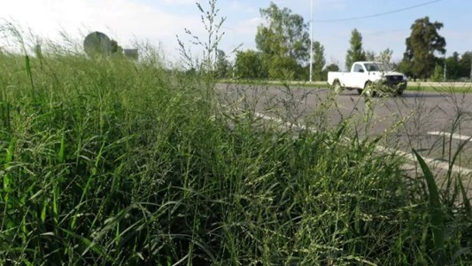 Denuncian el estado de abandono de la Circunvalación