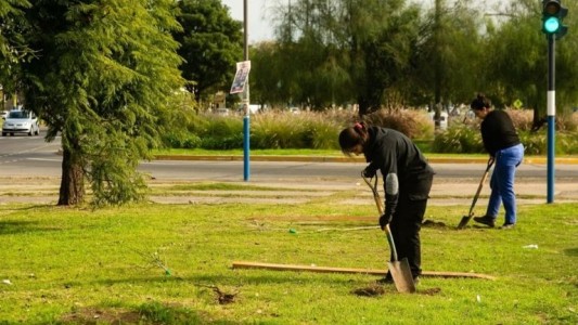Convocan a 100 voluntarios para plantar árboles en el Parque Italia
