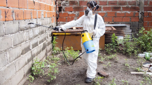 Rosario reporta 79 nuevos casos de dengue