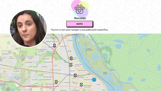 Rescatapp: una plataforma para reunir mascotas perdidas con sus dueños