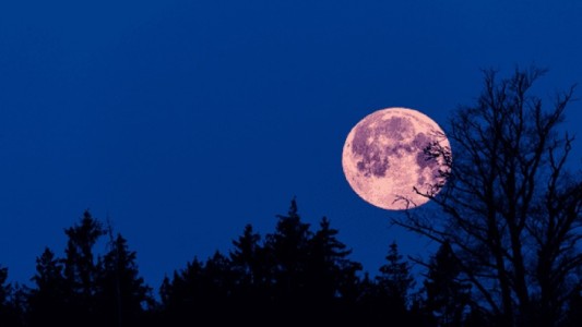 Se viene en Rosario otro fenómeno astronómico único: luna rosa de sábado por la noche