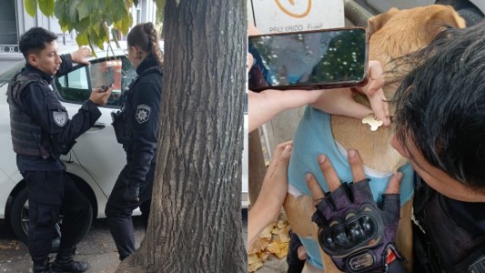 Rescataron a una perrita que estuvo encerrada por horas en un auto