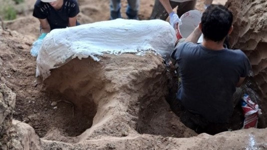 La provincia anunció un importante hallazgo paleontológico en la región