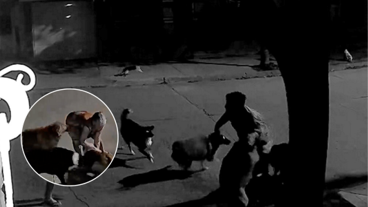 Brutal ataque de una jauría en Arequito: un hombre terminó con heridas en todo el cuerpo